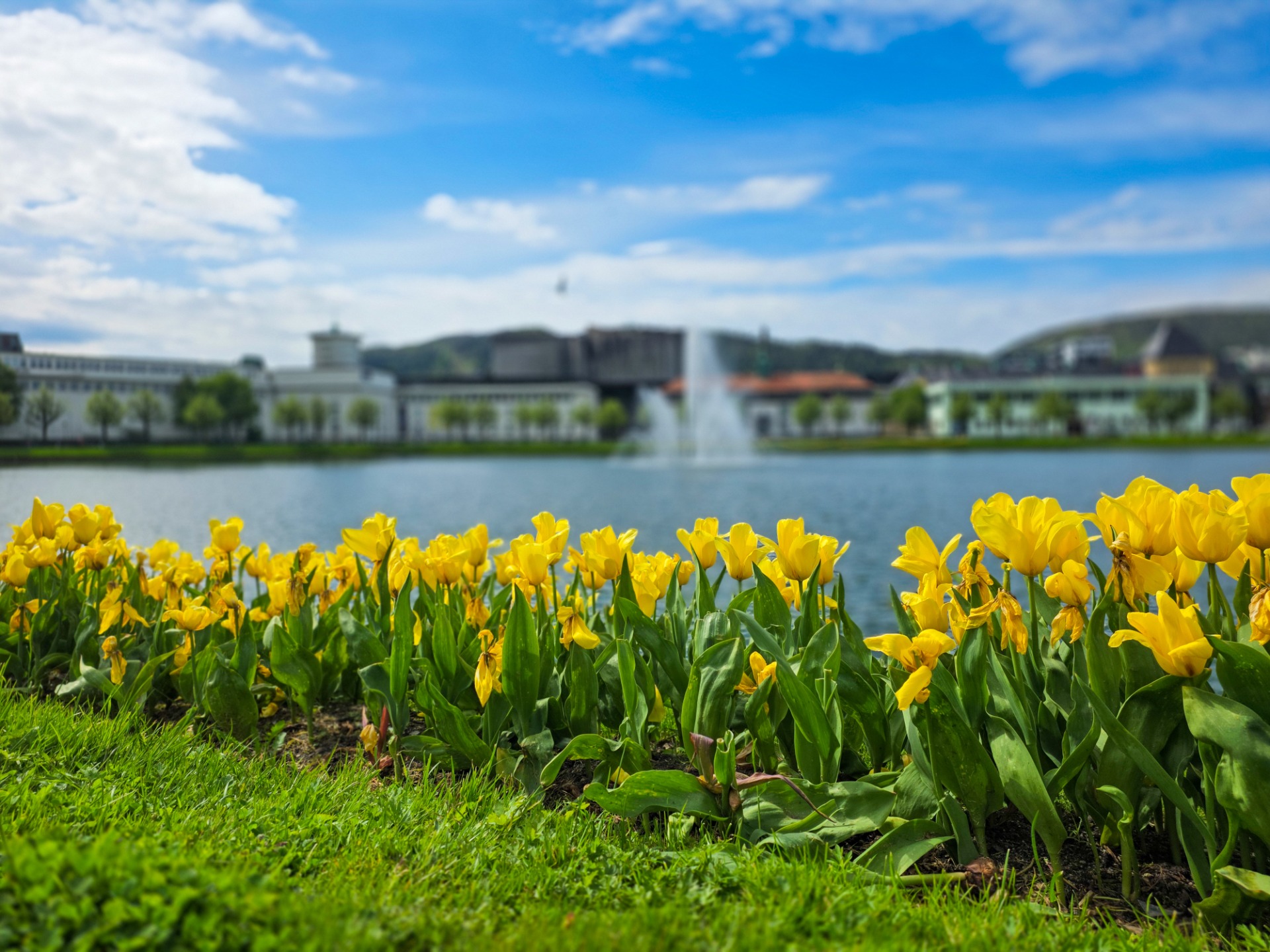 Bergen by